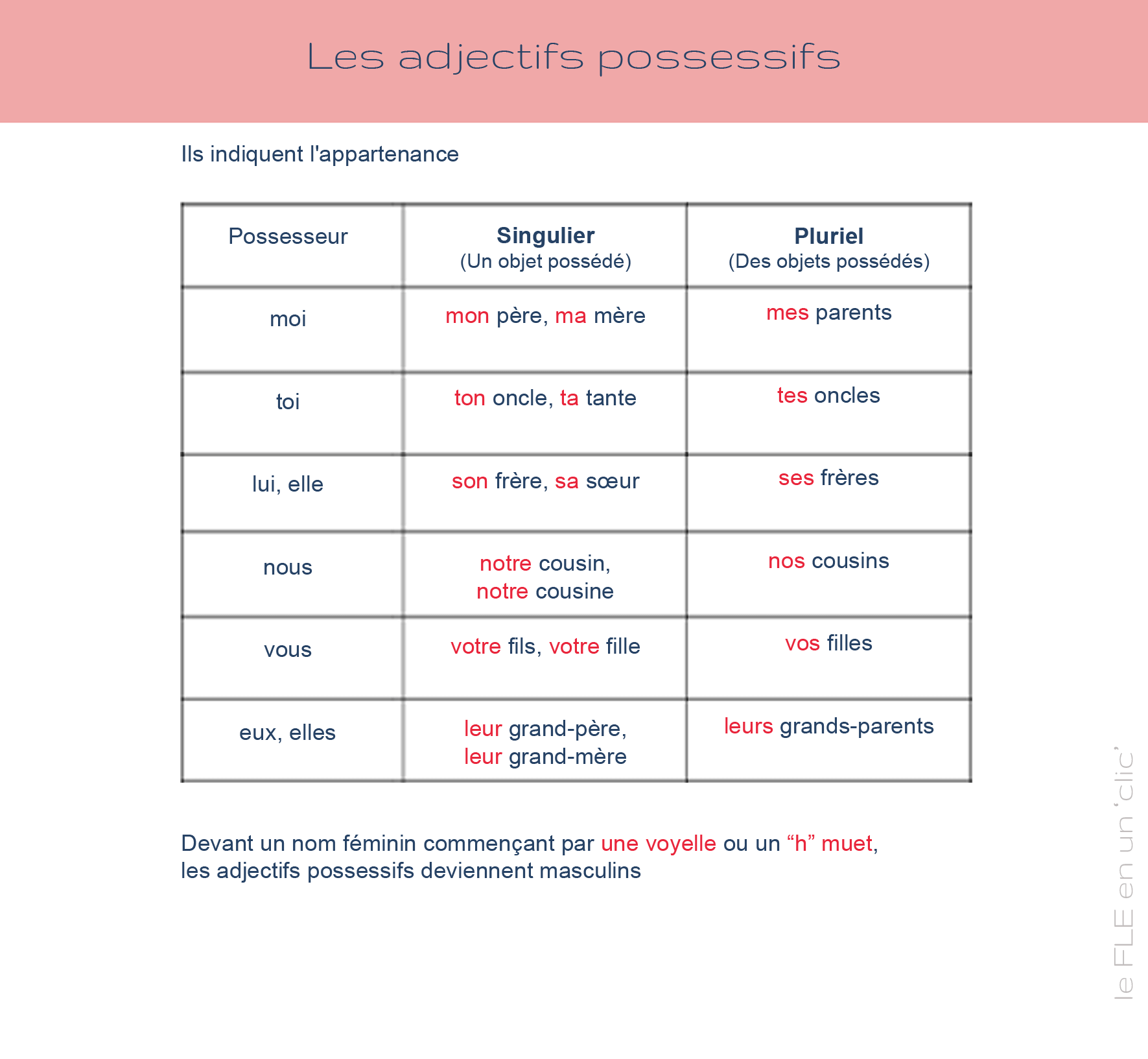 les adjectifs possessifs, fle, le FLE en un 'clic', grammaire, grammaire française