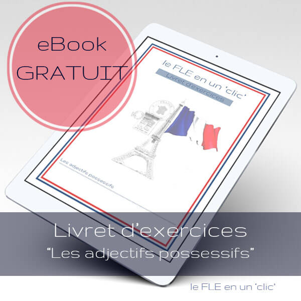 eBook gratuit, ressources français, Livret d'exercices, Les adjectifs possessifs