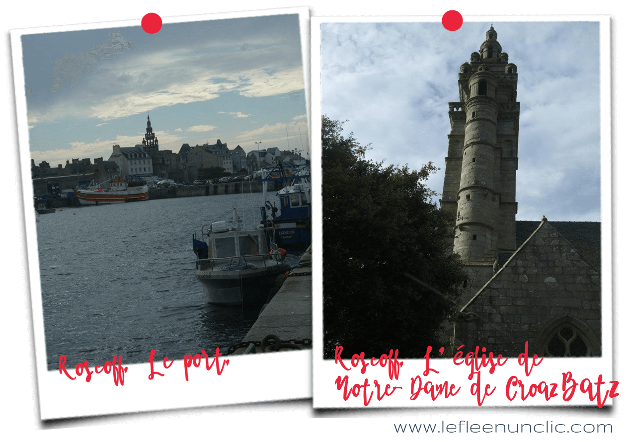 Voyage, culture, loisirs, France, la Bretagne et le Finistere nord, Roscoff