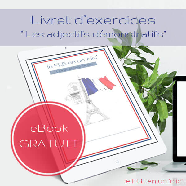 Cours et exercices sur les adjectifs démonstratifs en français