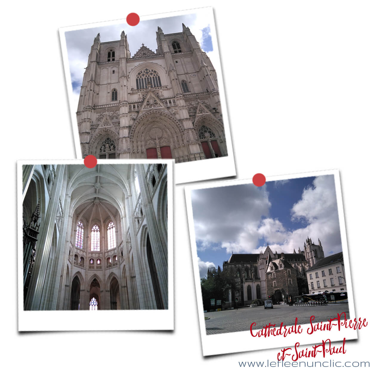 la cathédrale Saint-Pierre-et-Saint-Paul, Nantes, FLE, le FLE en un 'clic'