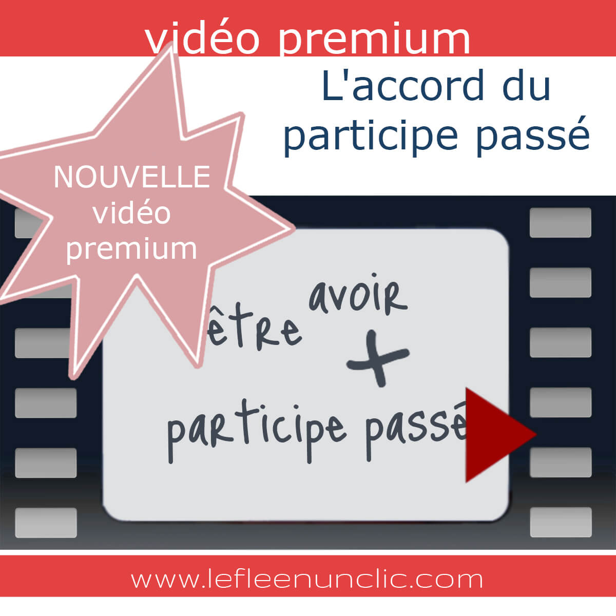 vidéo premium, accord du participe passé, grammaire française, FLE, le FLE en un 'clic'