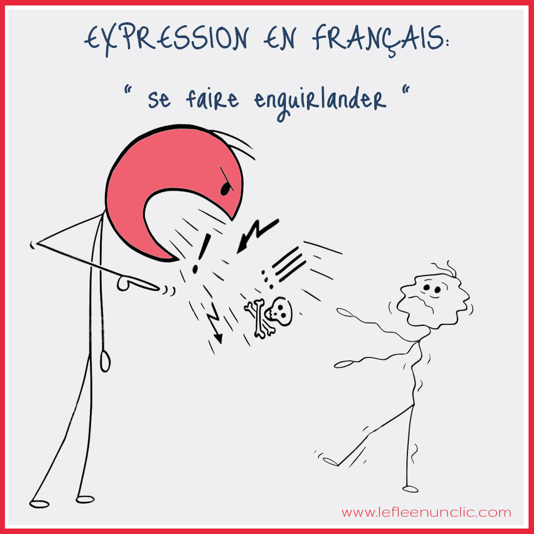 expressions, expression française, expression illustrée, FLE, le FLE en un 'clic'