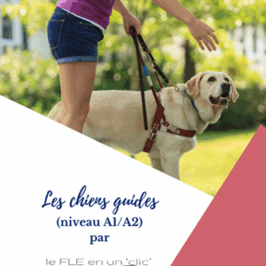 chiens, animaux, chiens guides, compréhension écrite, expression orale, FLE, le FLE en un 'clic', niveau A1, niveau A2