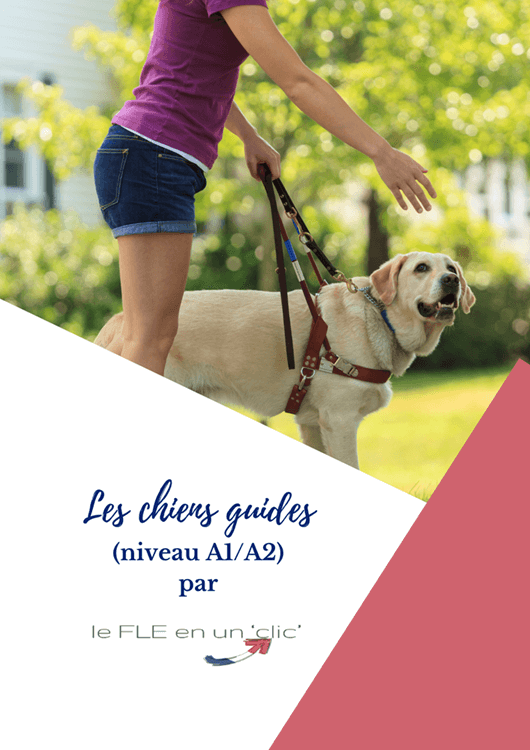 chiens, animaux, chiens guides, compréhension écrite, expression orale, FLE, le FLE en un 'clic', niveau A1, niveau A2