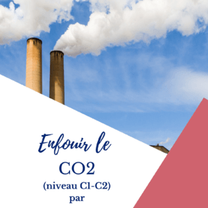 environnement, enfouir le CO2, niveau C1, niveau C2, FLE, le FLE en un 'clic', compréhension orale, expression écrite