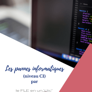 pannes informatiques, FLE, niveau C1, le FLE en un 'clic', expression orale, expression écrite, compréhension orale