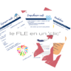 FLE, le FLE en un 'clic', la couleur, pourquoi la couleur a disparu de notre quotidien, expression orale, vocabulaire, compréhension orale, expression écrite,