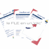 FLE, le FLE en un 'clic', expression orale, compréhension orale, expression écrite, la pollution, les allergies, pollen, niveau B1, niveau B2
