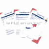 Les inégalités au travail (niveau C1/C2) – Image 2