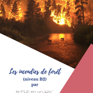 incendies, changement climatique, FLE, niveau B2, le FLE en un 'clic', feux de forêt